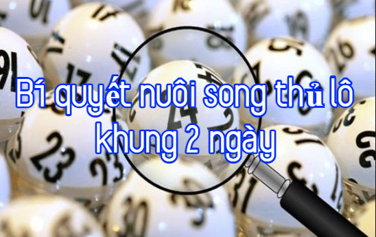 Bí quyết nuôi song thủ lô khung 2 ngày