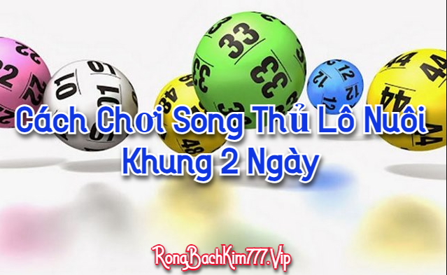 Cách Chơi Song Thủ Lô Nuôi Khung 2 Ngày