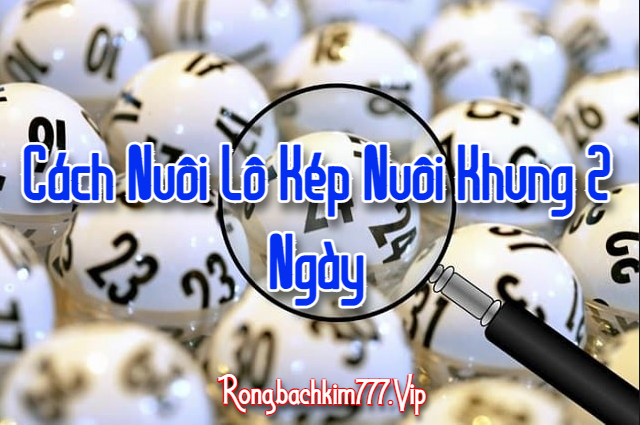 Cách Nuôi Lô Kép Nuôi Khung 2 Ngày