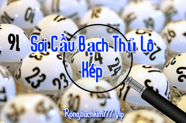 Soi cầu bạch thủ lô kép